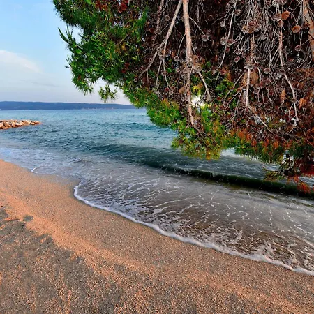 Bulletin Appartamento *